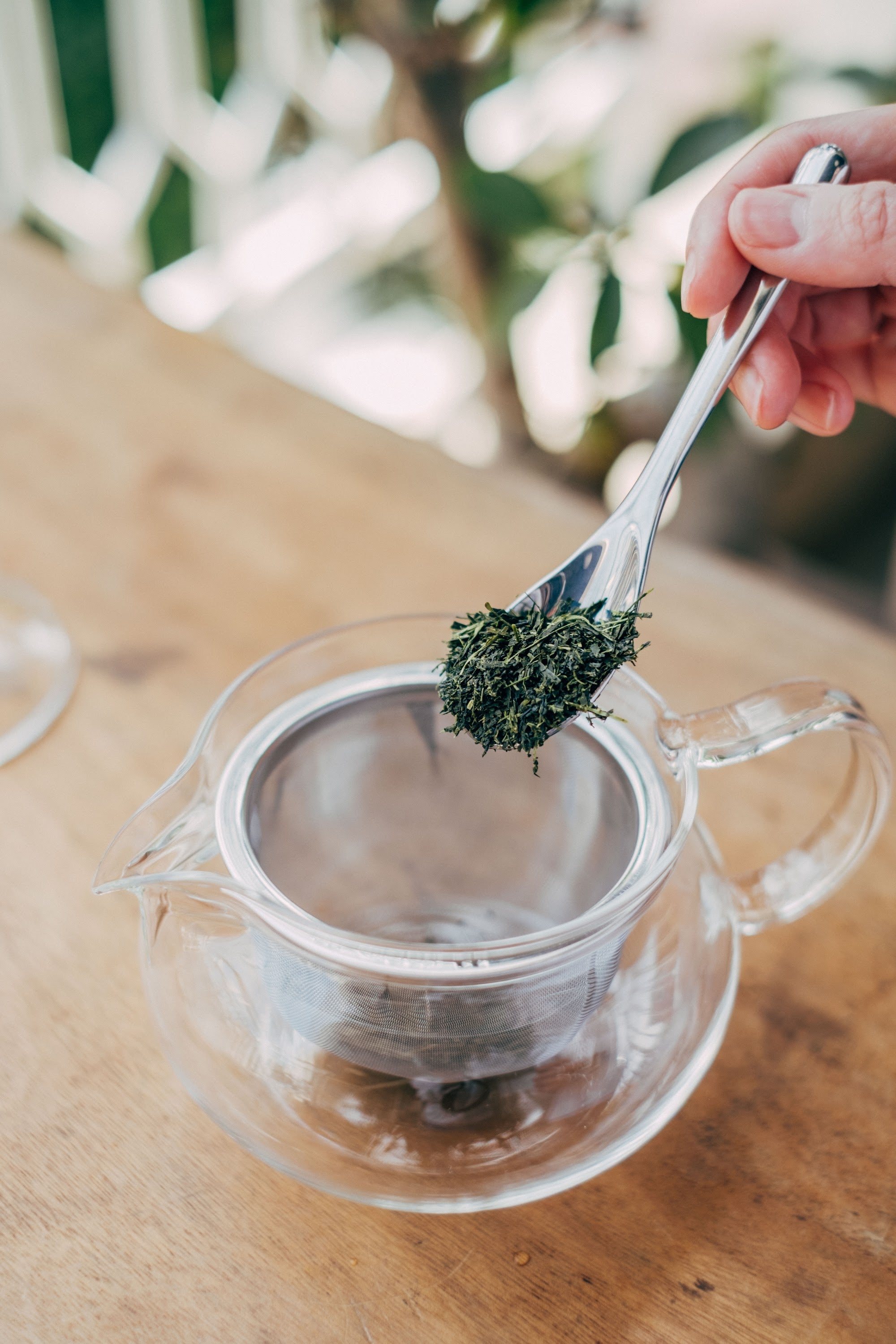 Cha Cha Kyusu Maru - 300ml