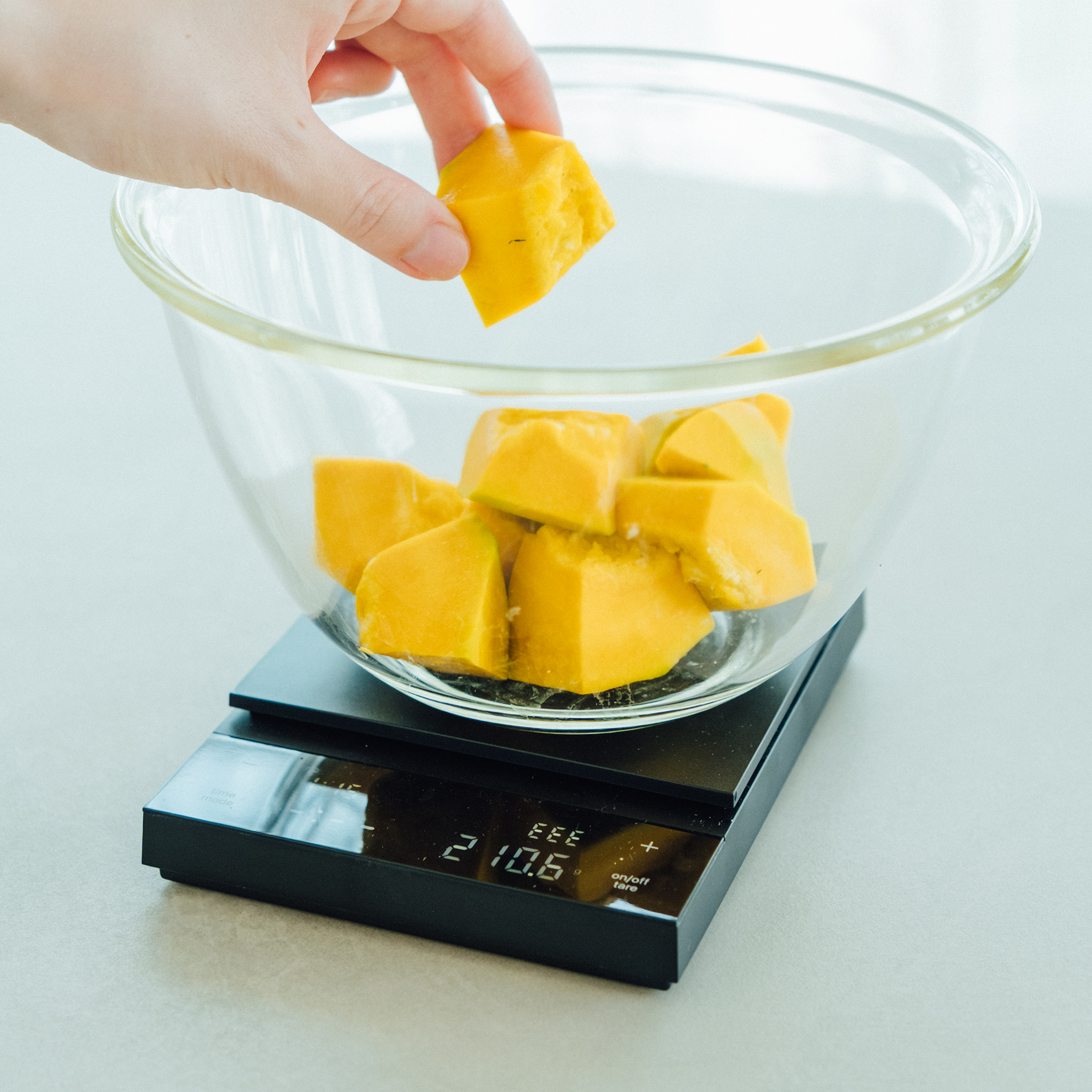 Coffee Scale POLARIS