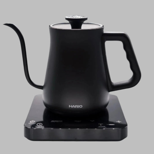 Alpha Electric Kettle with Temperature Control