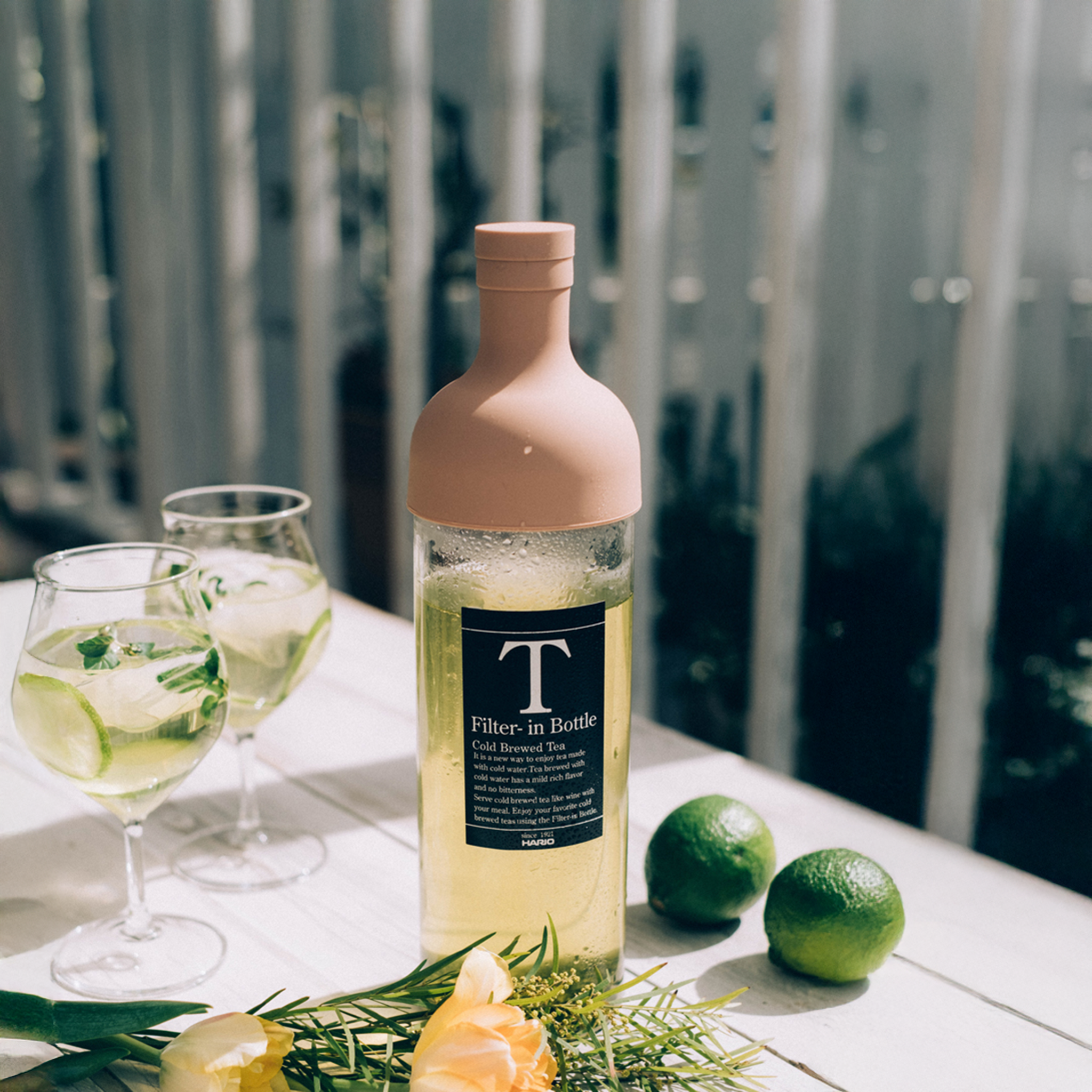 Filter-in Bottle 750ml