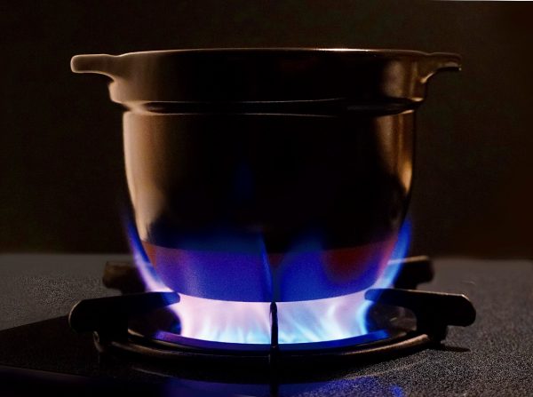 GOHANGAMA Glass Lid Rice Cooker (1-2 Cups)