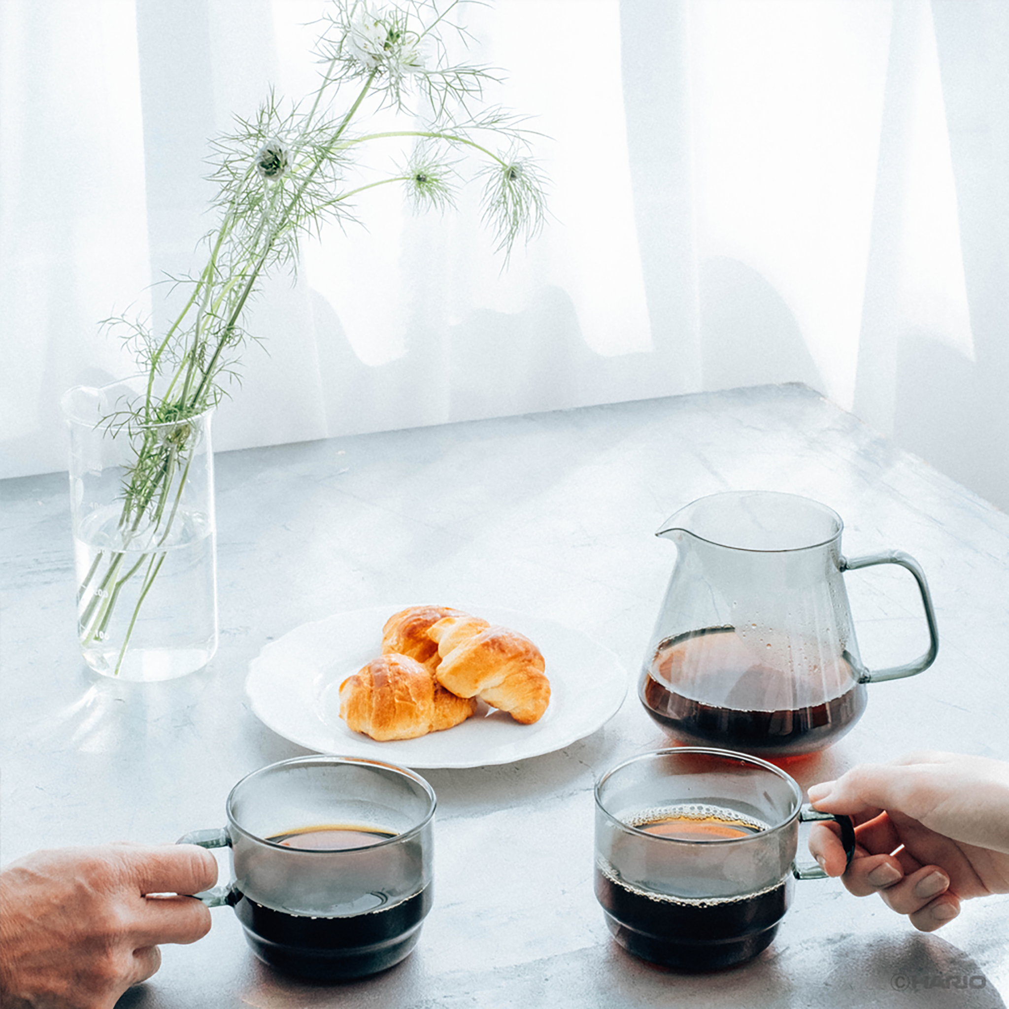 HARIO COLORS Tea & Coffee Server