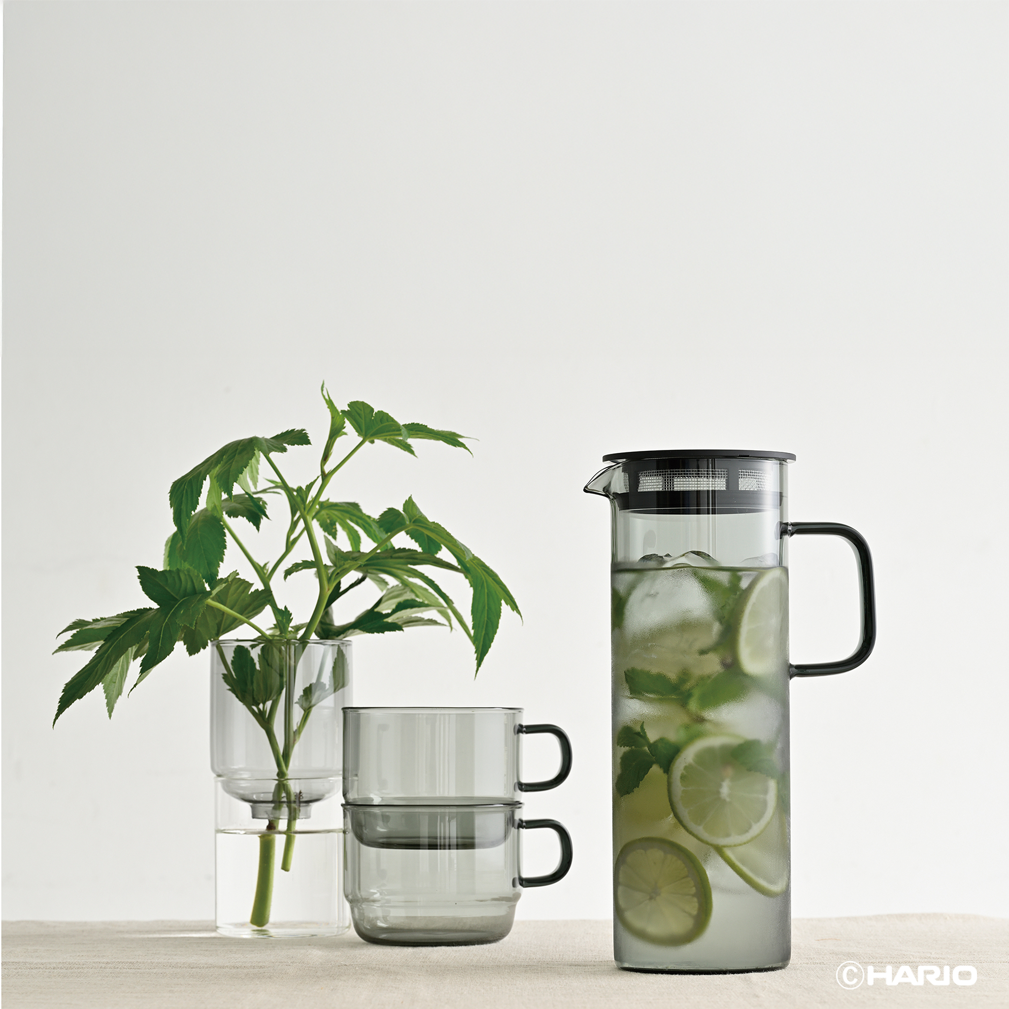 HARIO COLORS Cold Brew Pitcher