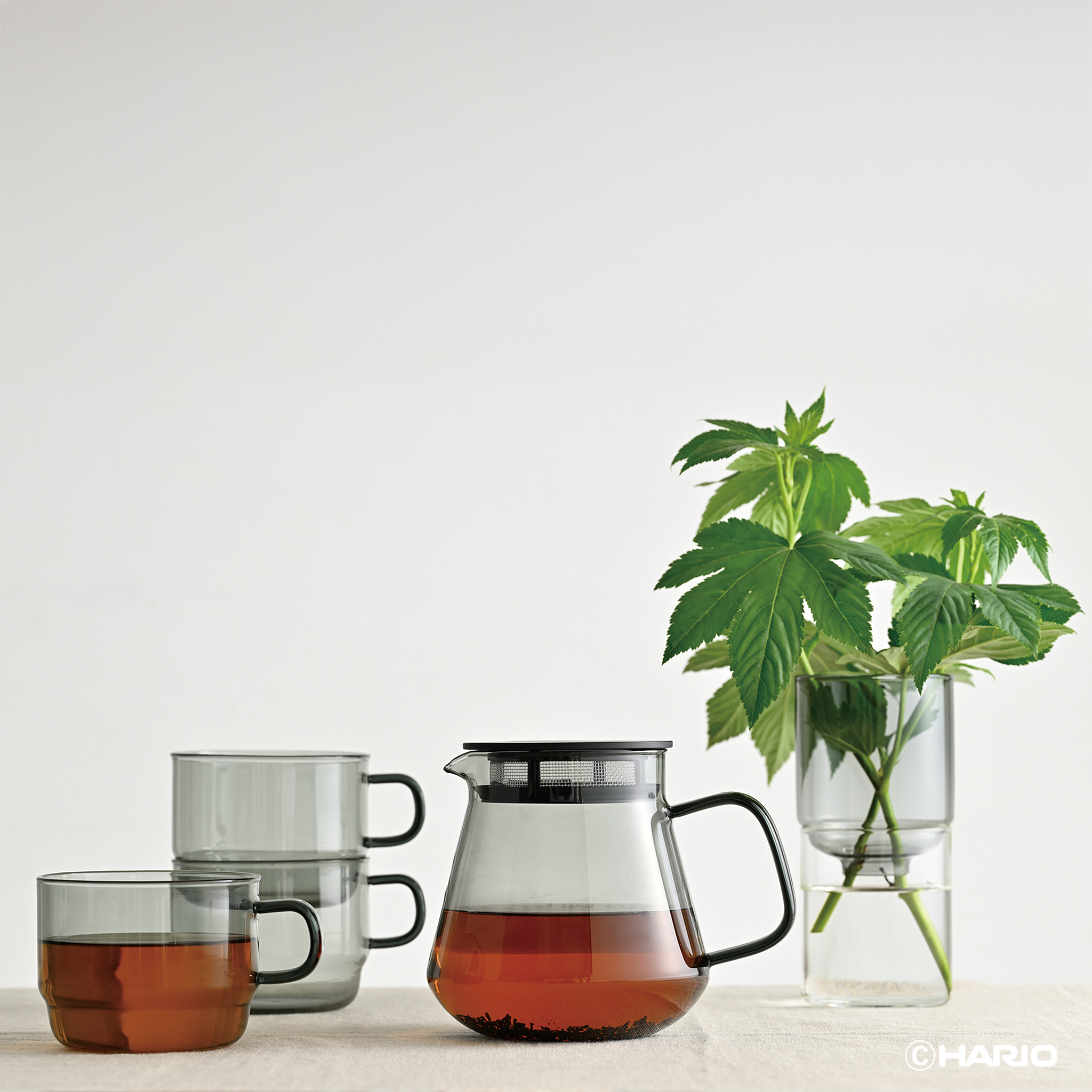 HARIO COLORS Tea & Coffee Server