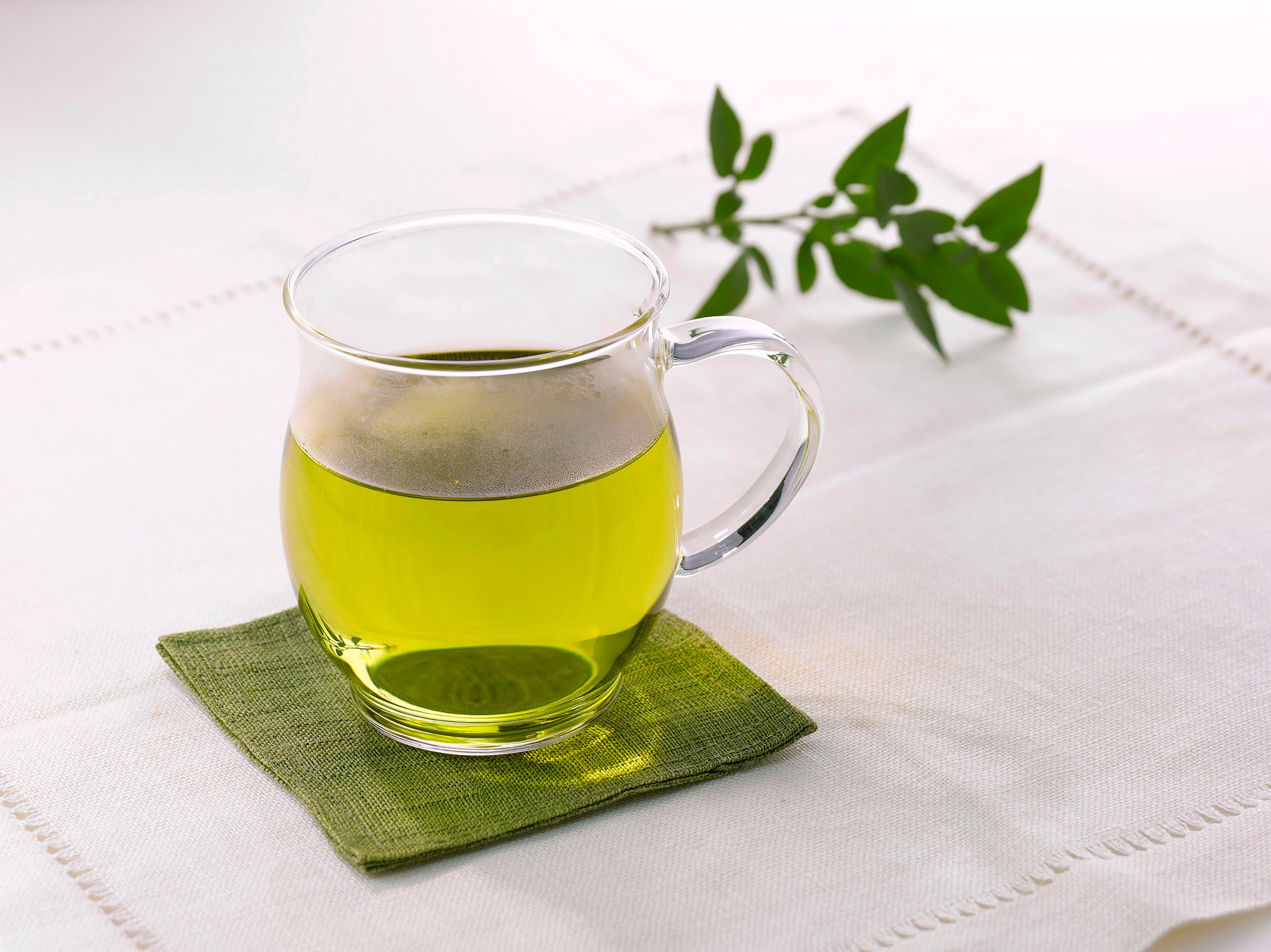 Heatproof Mug Cup "Kaori"