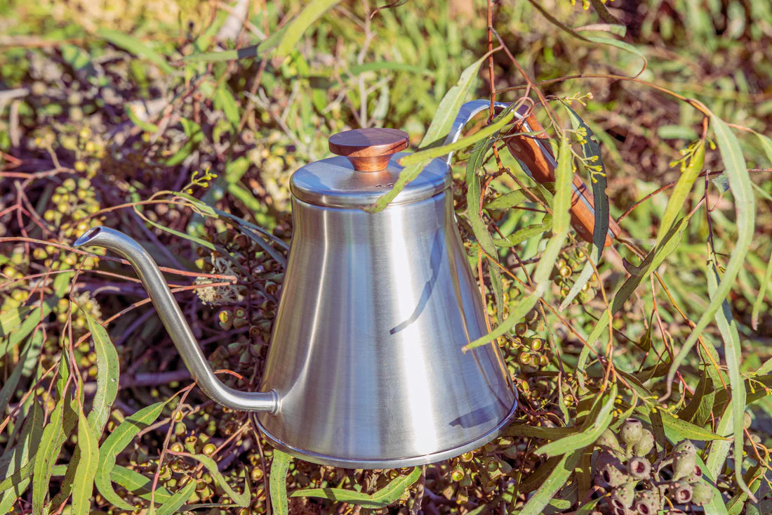 V60 Drip Kettle Wood