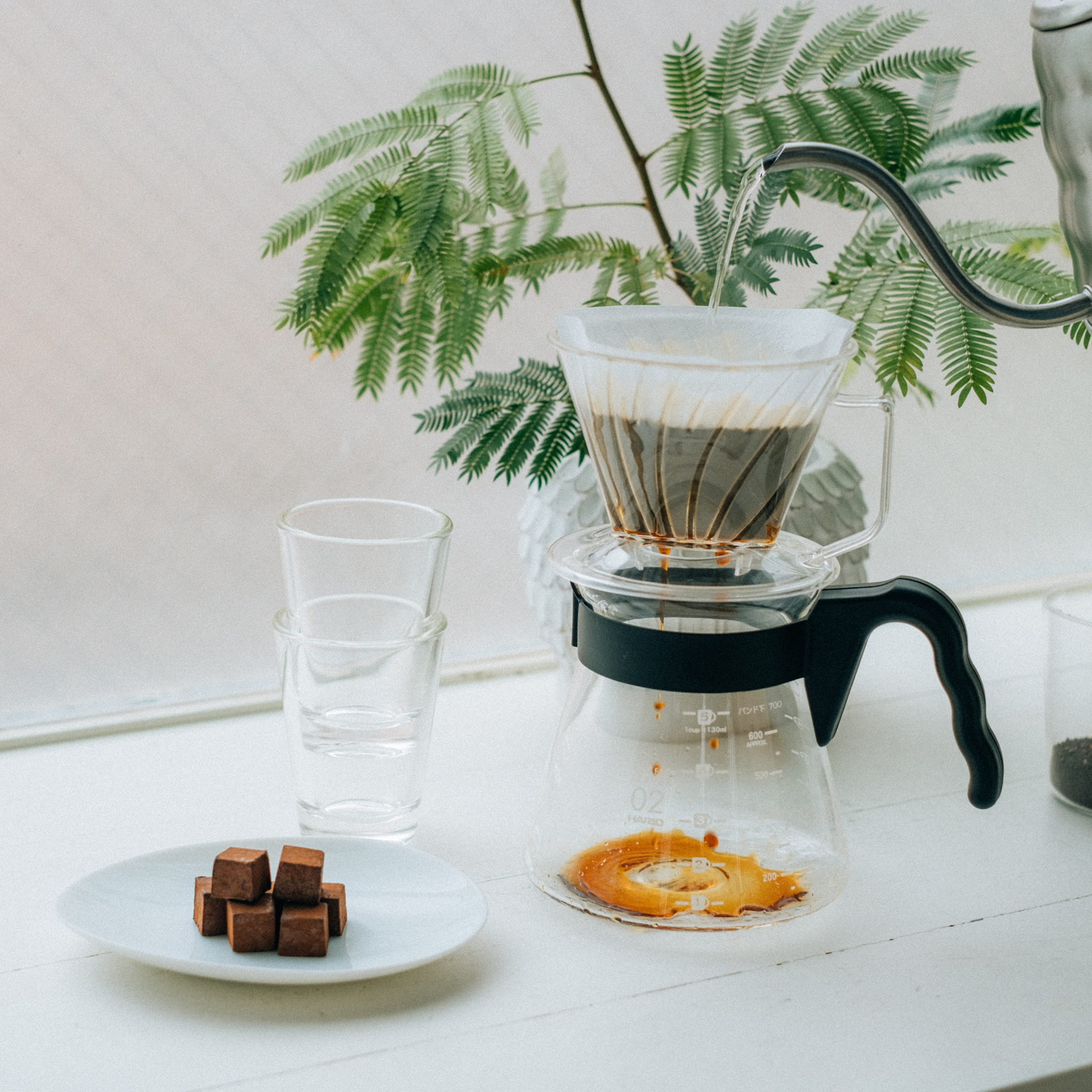 Pegasus Paper Filter White 100 sheets - 1-2 Cups