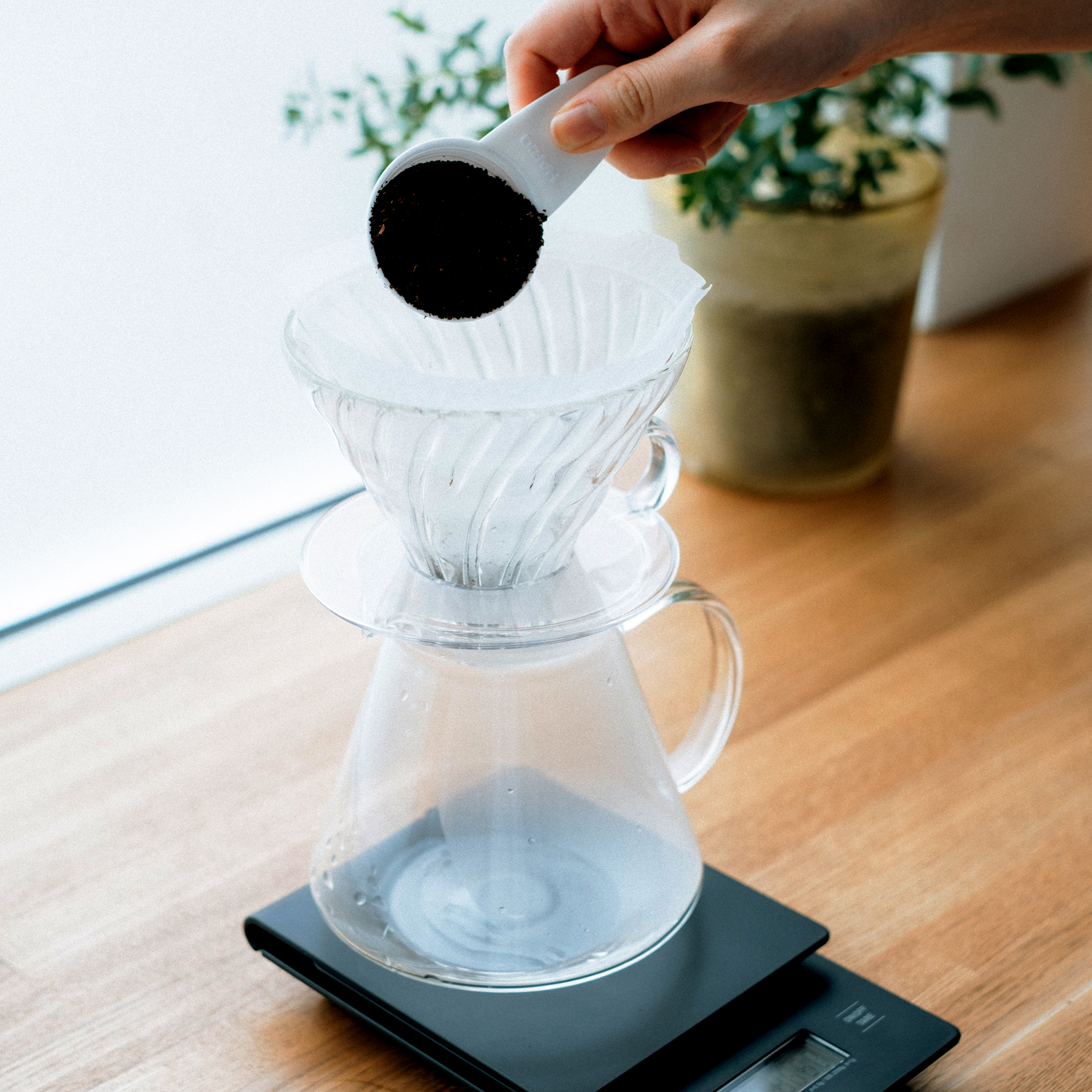 "Simply" V60 Glass Brewing Kit