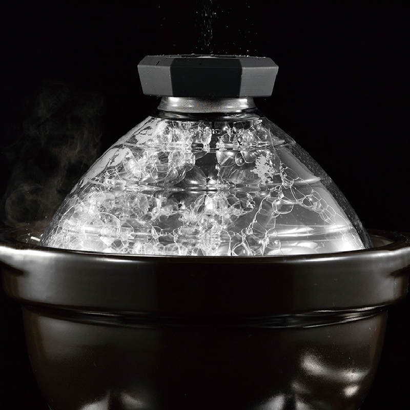 GOHANGAMA Glass Lid Rice Cooker (2-3 Cups)