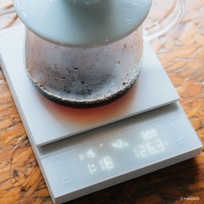 Coffee Scale POLARIS