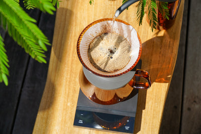 V60 Dripper NEO 01 Transparent / Amber