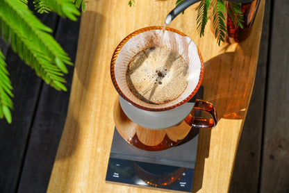 V60 Dripper NEO 01 Transparent / Amber
