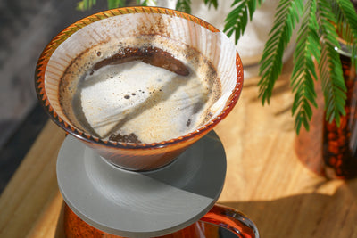 V60 Dripper NEO 01 Transparent / Amber