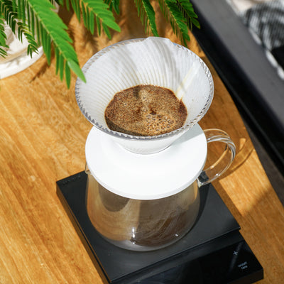 V60 Dripper NEO 02 Transparent / Amber