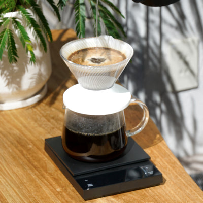 V60 Dripper NEO 01 Transparent / Amber