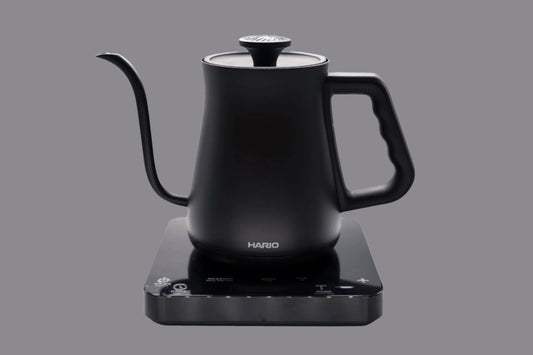 Alpha Electric Kettle with Temperature Control