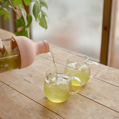 Filter-in Bottle ”AYA” Series