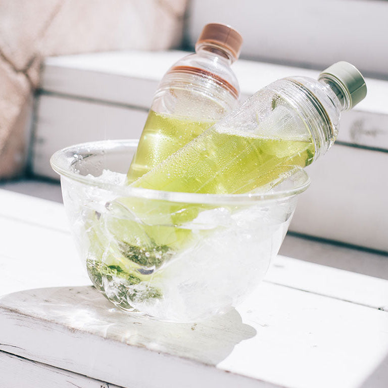 Filter-in Bottle Portable 400ml