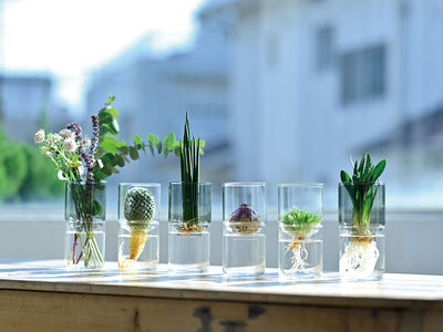 Glass Flower Vase