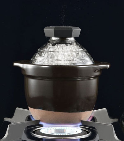 GOHANGAMA Glass Lid Rice Cooker (1-2 Cups)