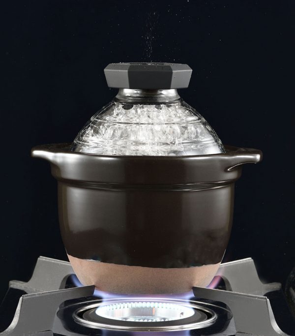 GOHANGAMA Glass Lid Rice Cooker (1-2 Cups)