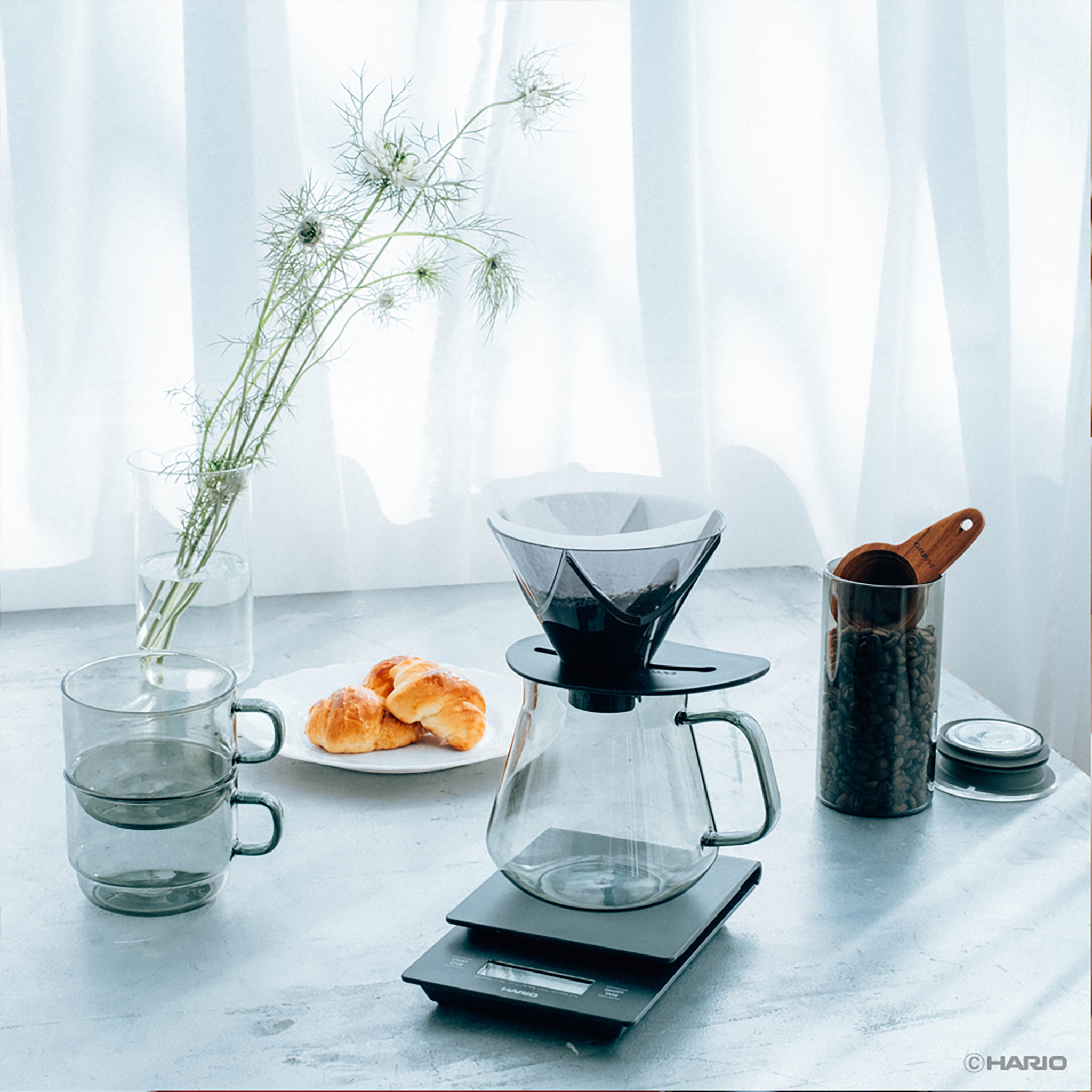 HARIO COLORS Tea & Coffee Server