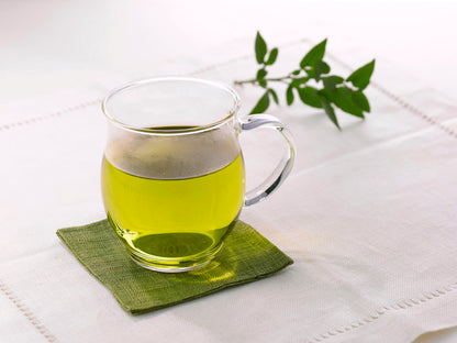 Heatproof Mug Cup "Kaori"