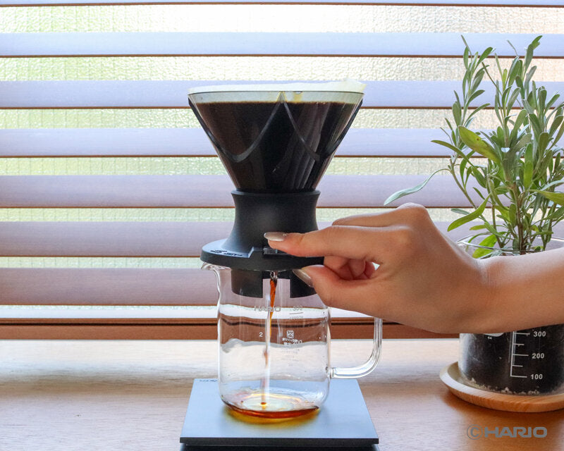 V60 MUGEN x SWITCH DRIPPER