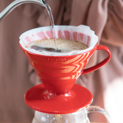 V60 Plastic Coffee Dripper 02 (Rebranded Edition)