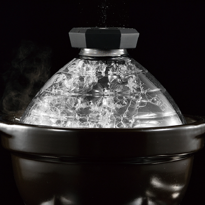 GOHANGAMA Glass Lid Rice Cooker (2-3 Cups)